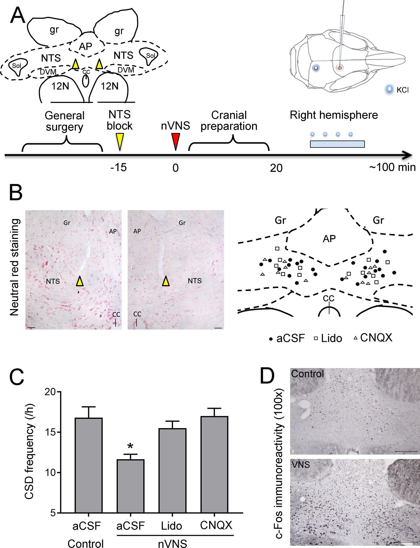 Figure 2: