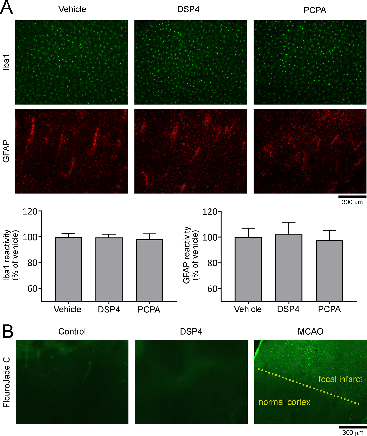 Figure 4: