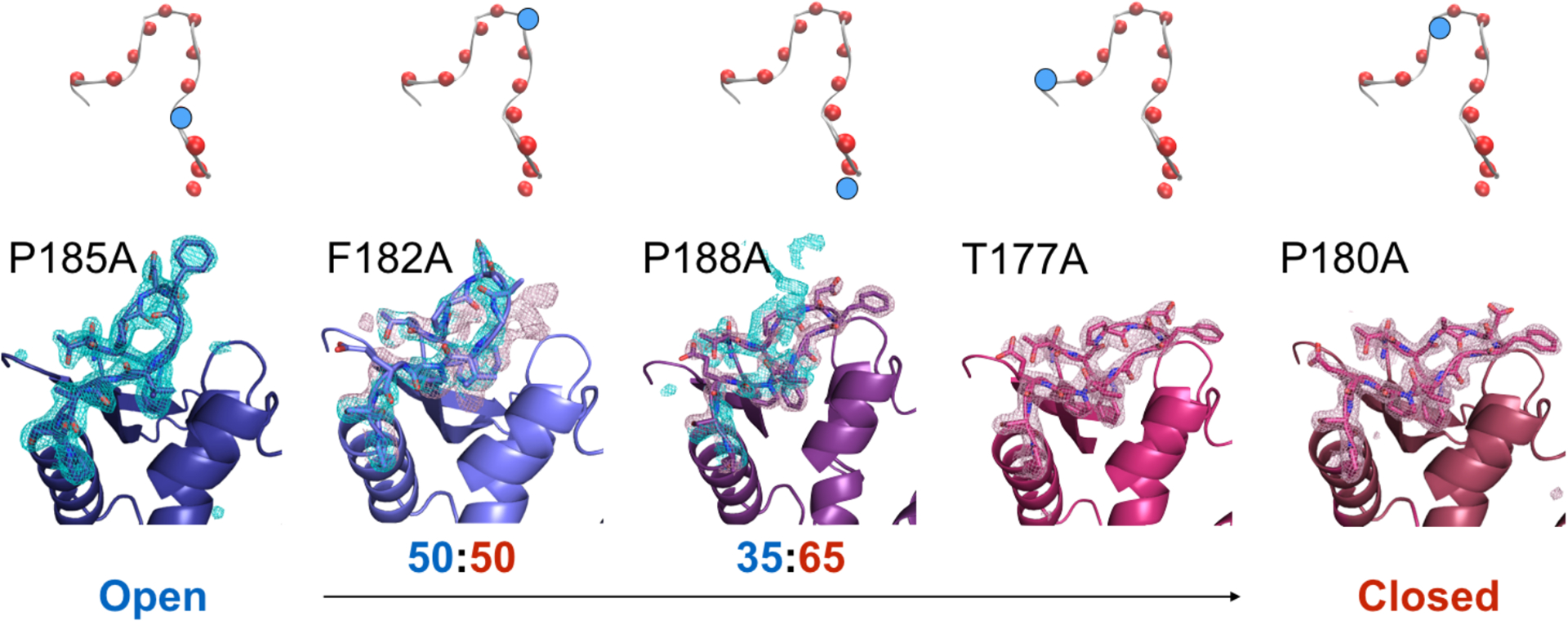 Figure 4 –