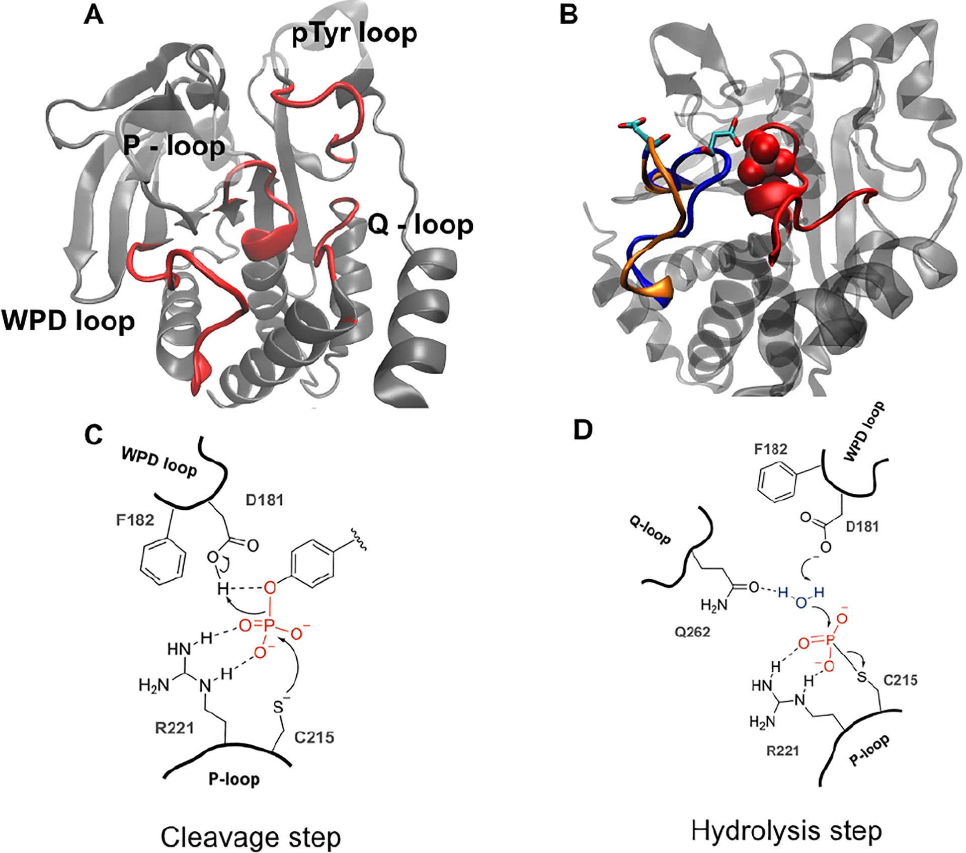 Figure 1 -