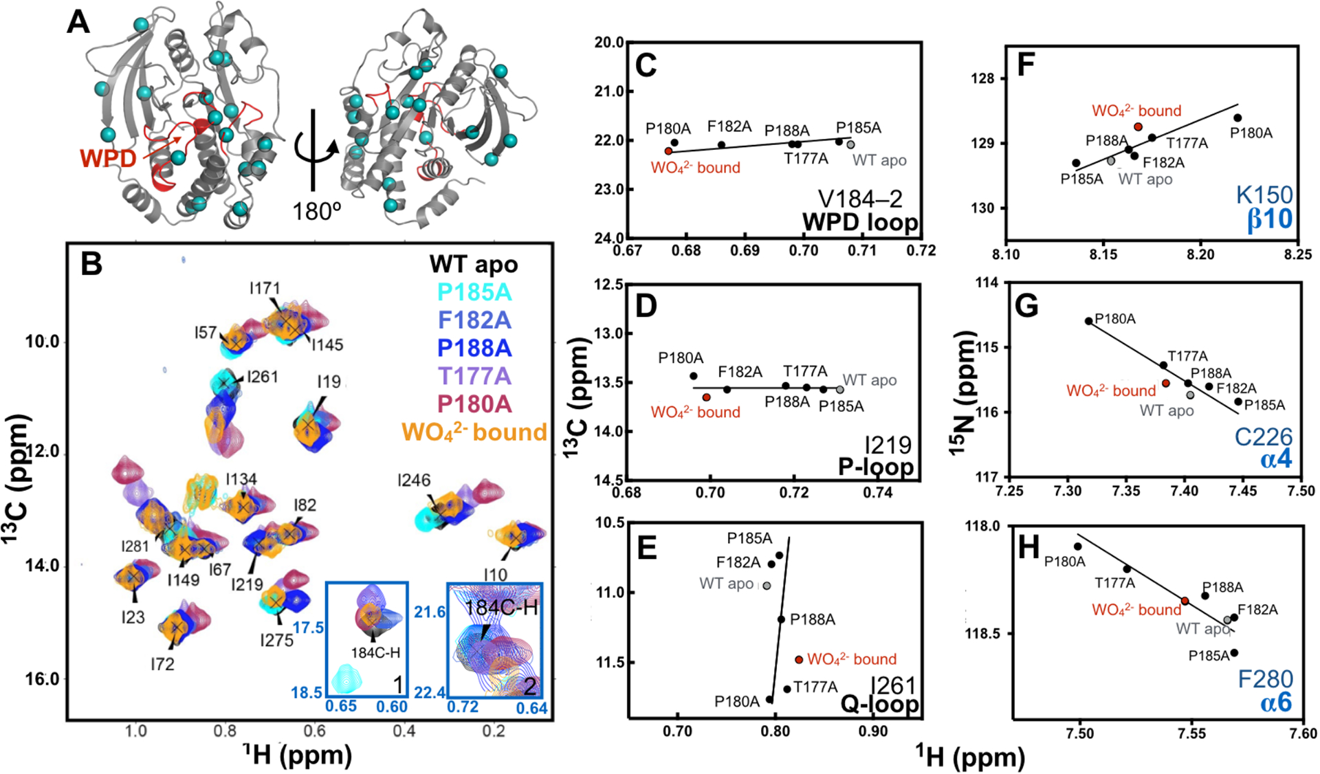 Figure 2 -