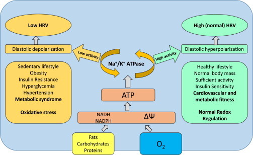 Fig. 3