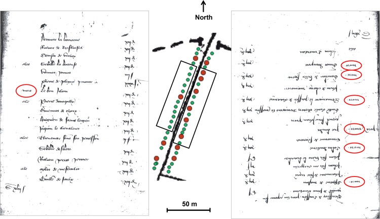 Fig 3