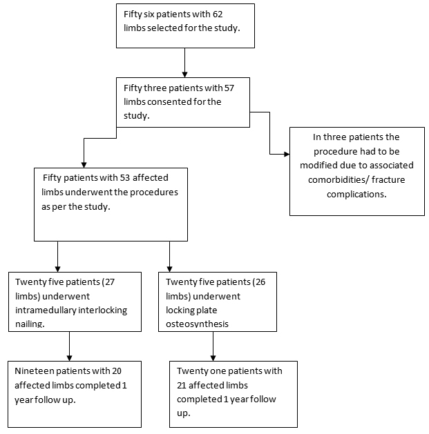 [Table/Fig-4]: