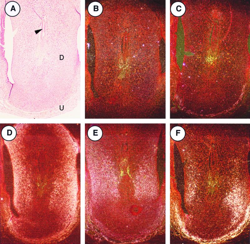 FIG. 9