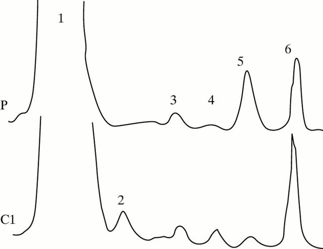 Figure 5  