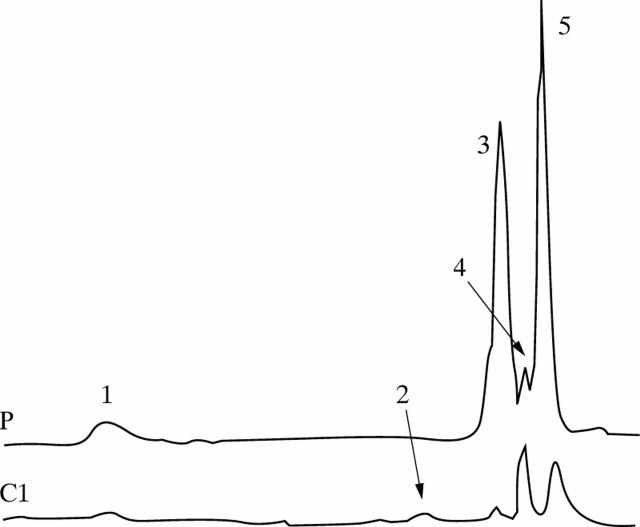 Figure 4  