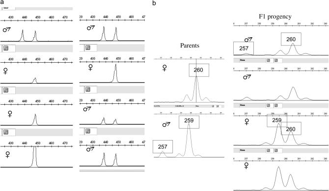 Figure 3.—