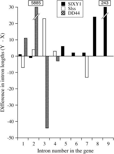 Figure 1.—