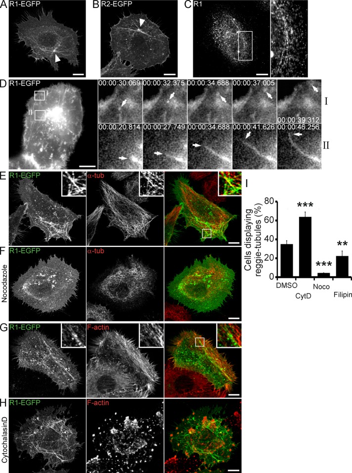 FIGURE 1: