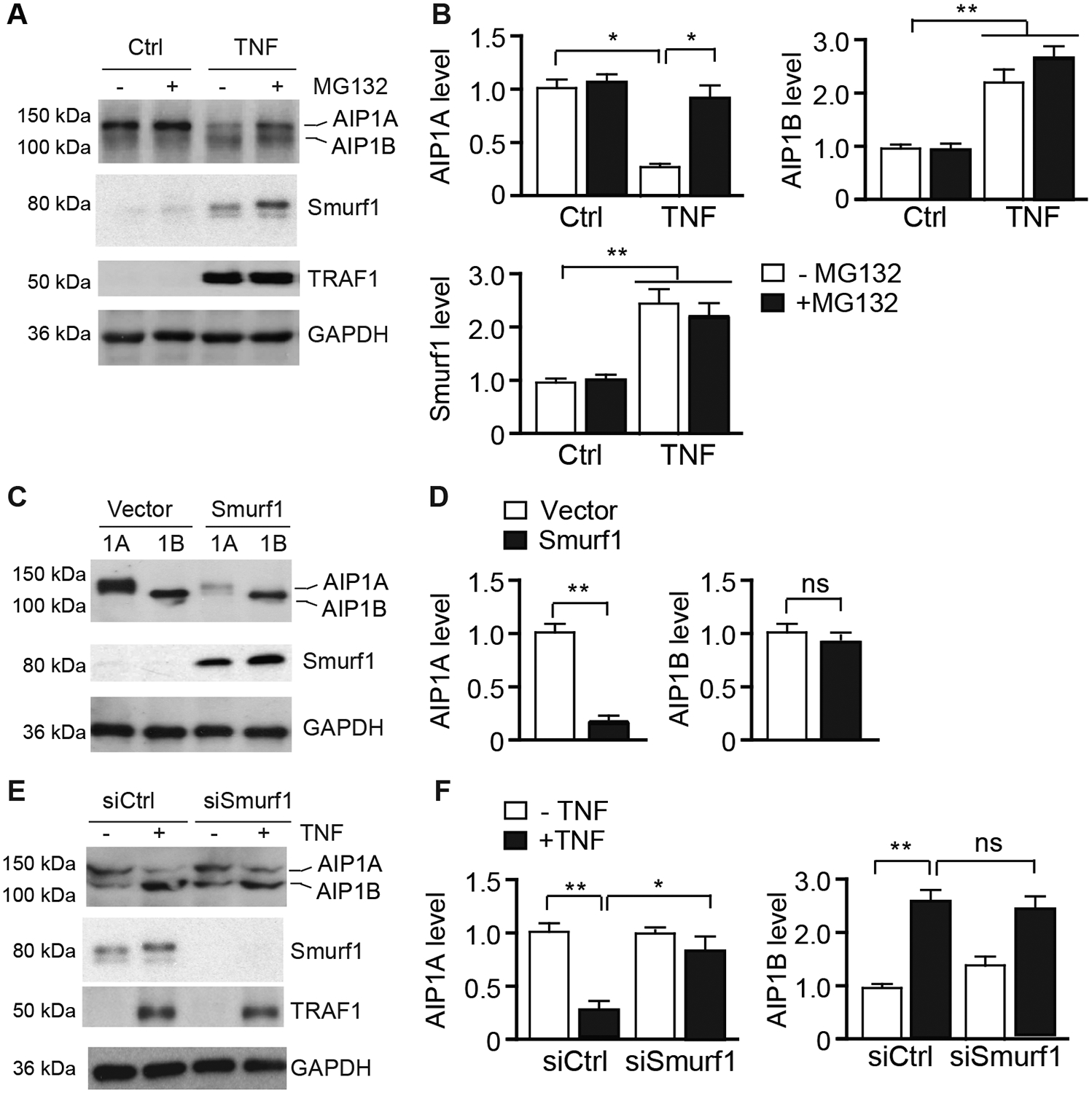 Fig.2