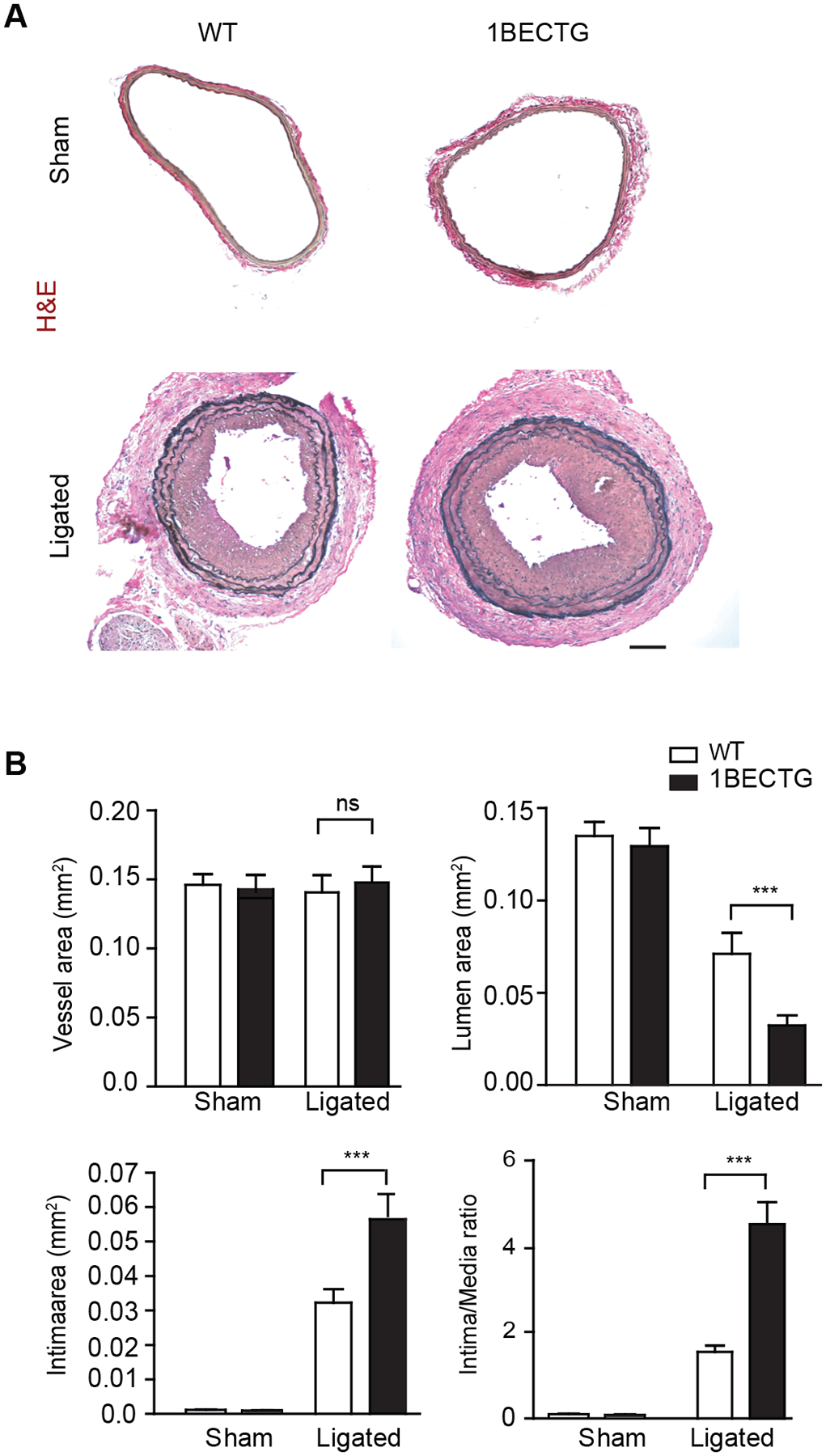 Fig.6.