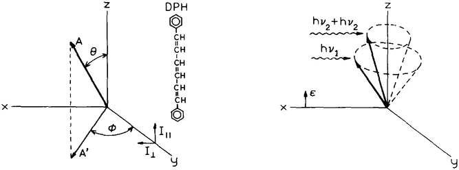 Scheme 1.