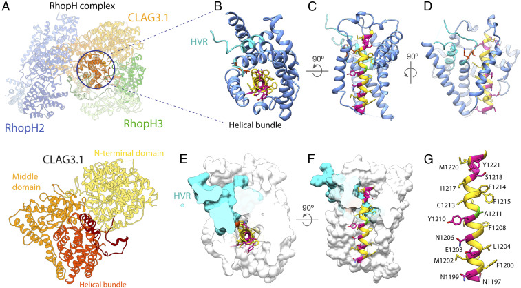 Fig. 4.