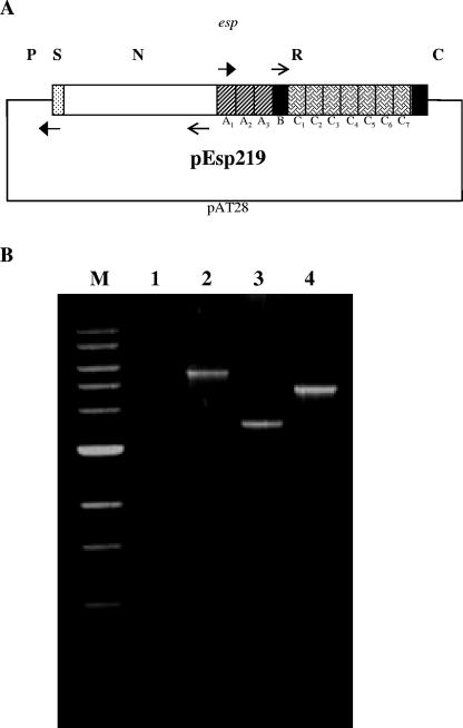 FIG. 1.