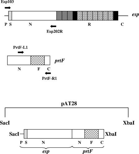 FIG. 5.