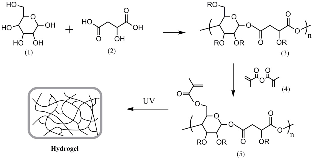 Fig.1