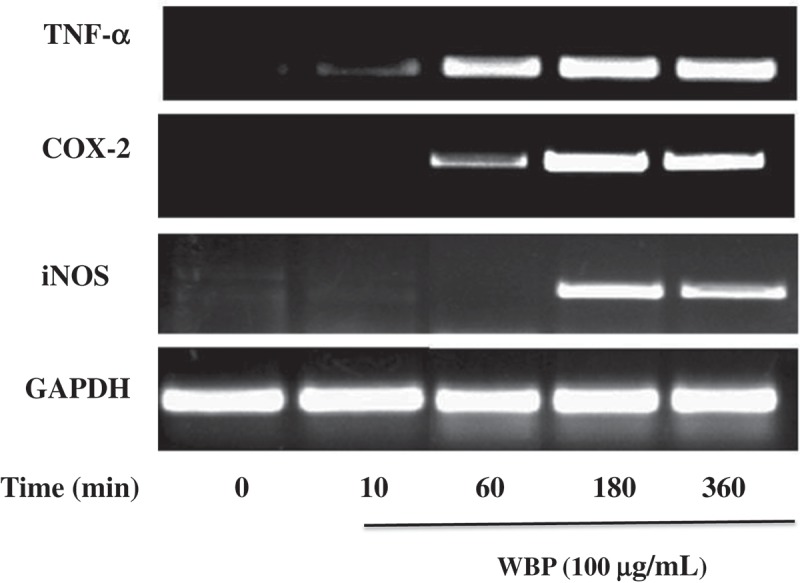 Figure 3.