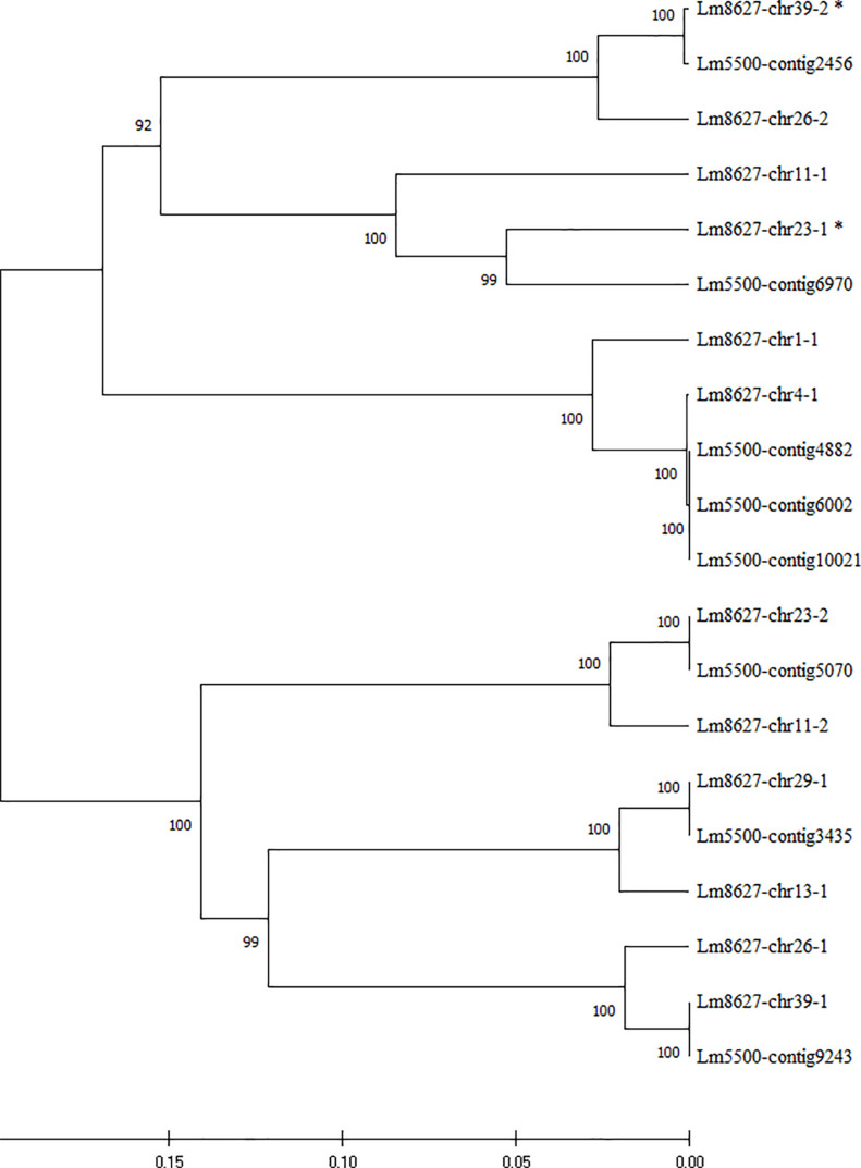 FIGURE 4