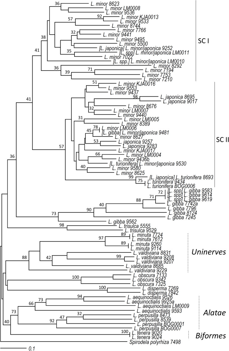 FIGURE 3