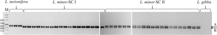 FIGURE 6