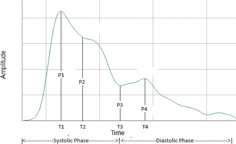 Fig. 1