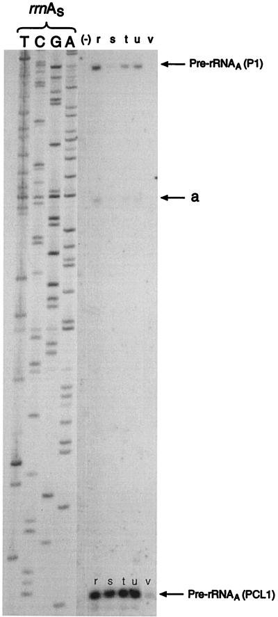FIG. 5
