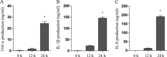 Fig 5