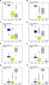 Figure 4—figure supplement 4.