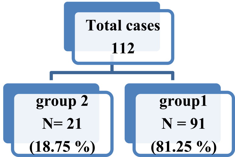 Fig. (1)