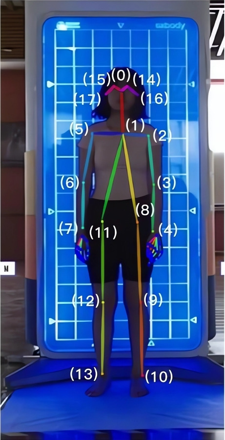 Fig. 1