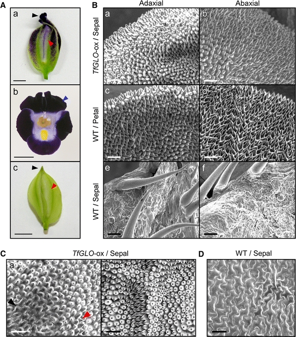 Fig. 4