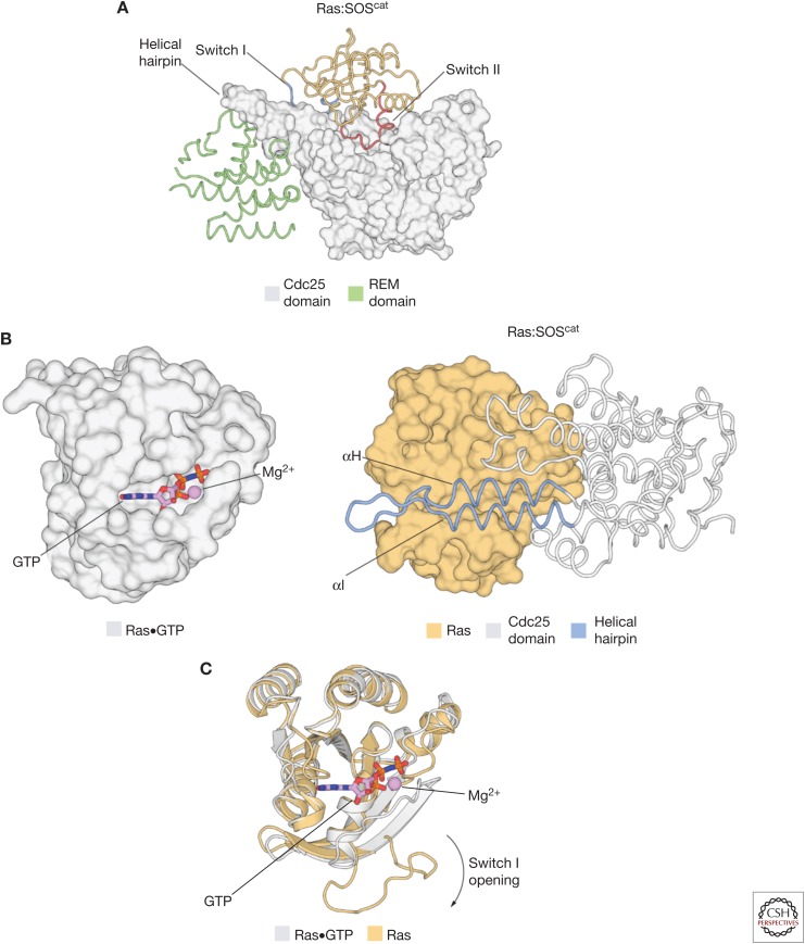 Figure 2.