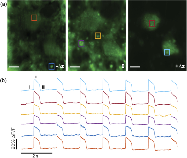 Fig. 4.