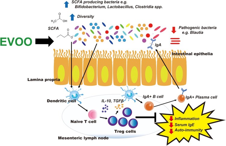 Figure 3