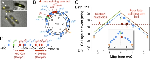 Fig. 2.