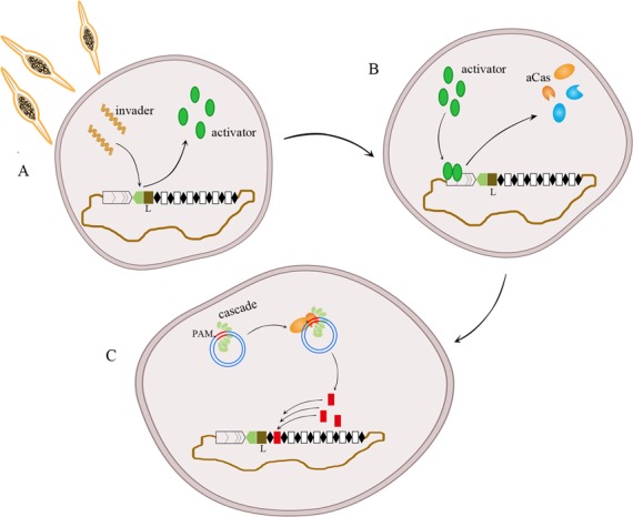 Figure 7.