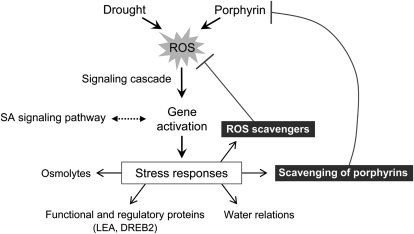 Figure 10.