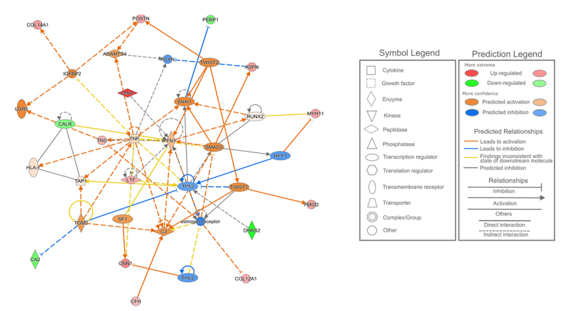 Figure 4 -