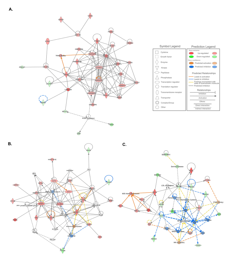 Figure 3 -