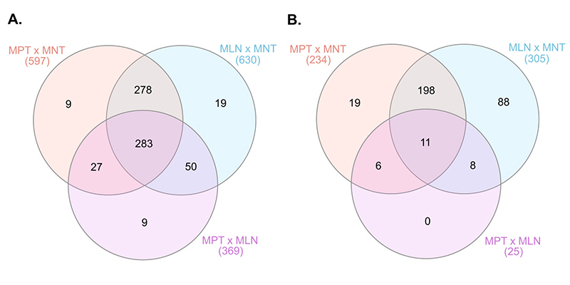 Figure 1 -