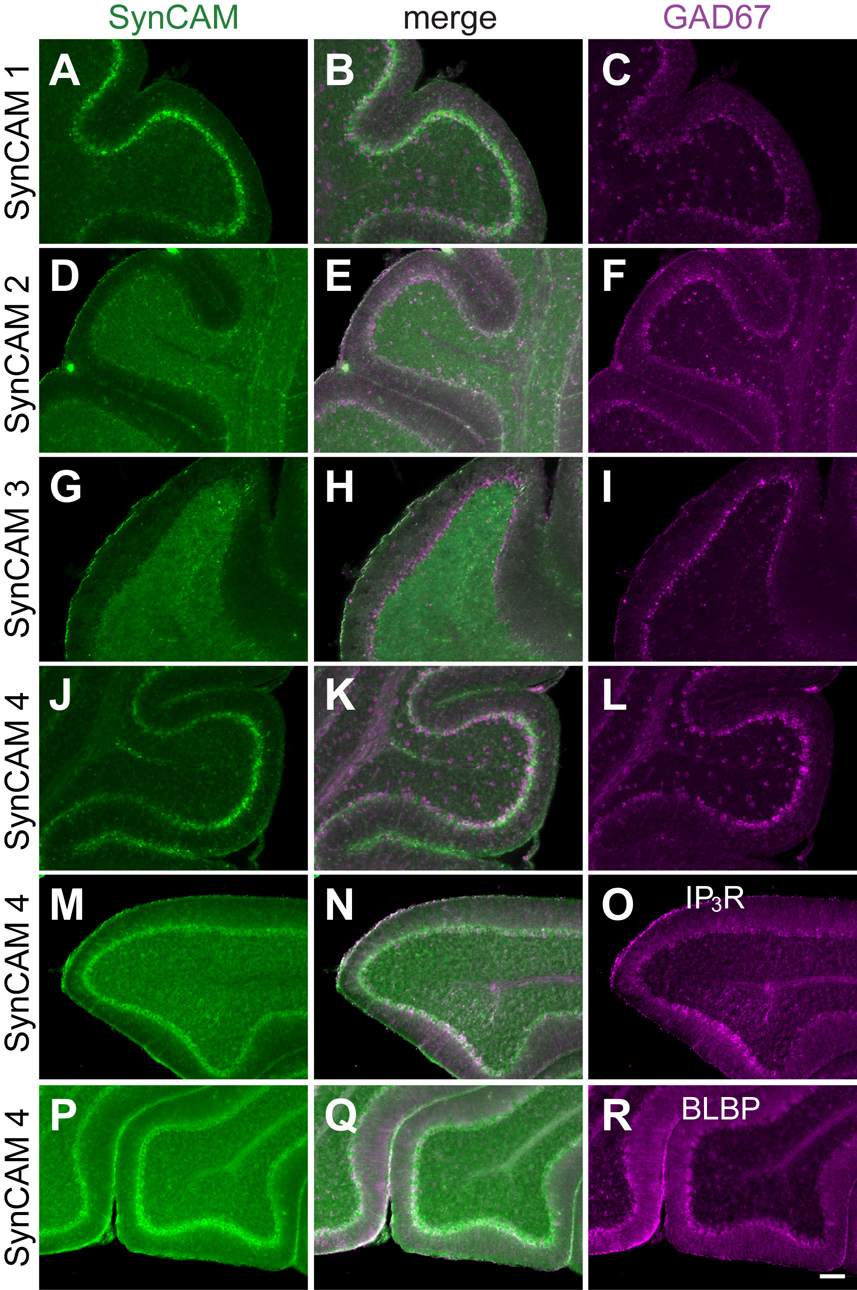 Fig. 11