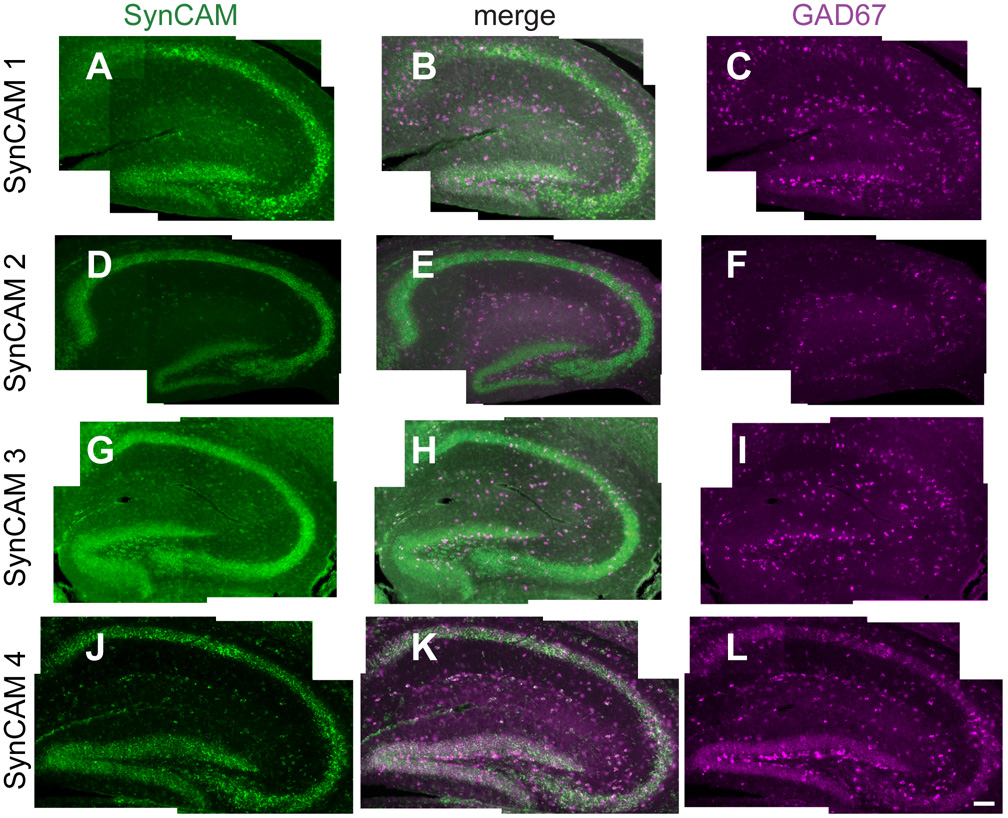 Fig. 10