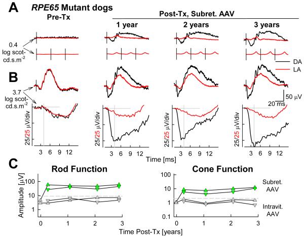 Figure 12