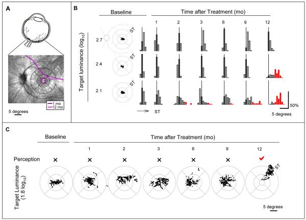 Figure 18