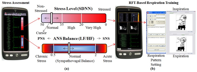 Figure 7.