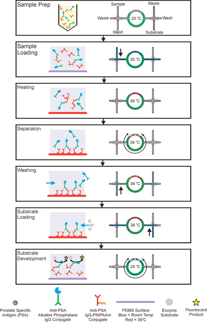 Scheme 3