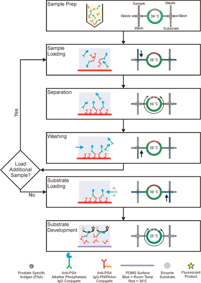 Scheme 4