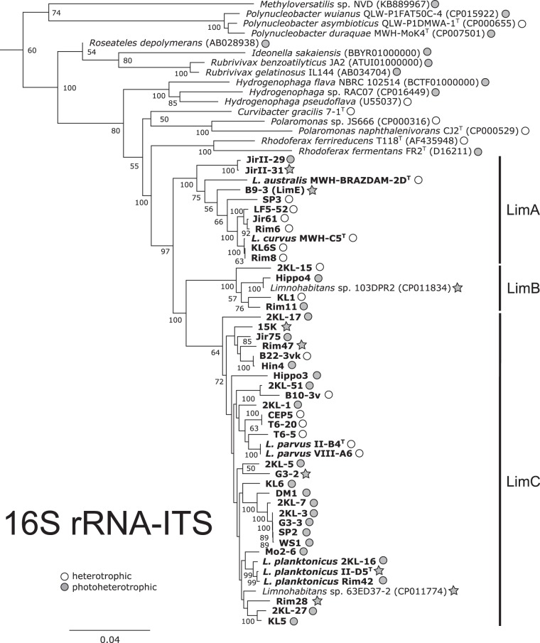 FIG 1