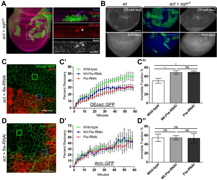 FIGURE 4: